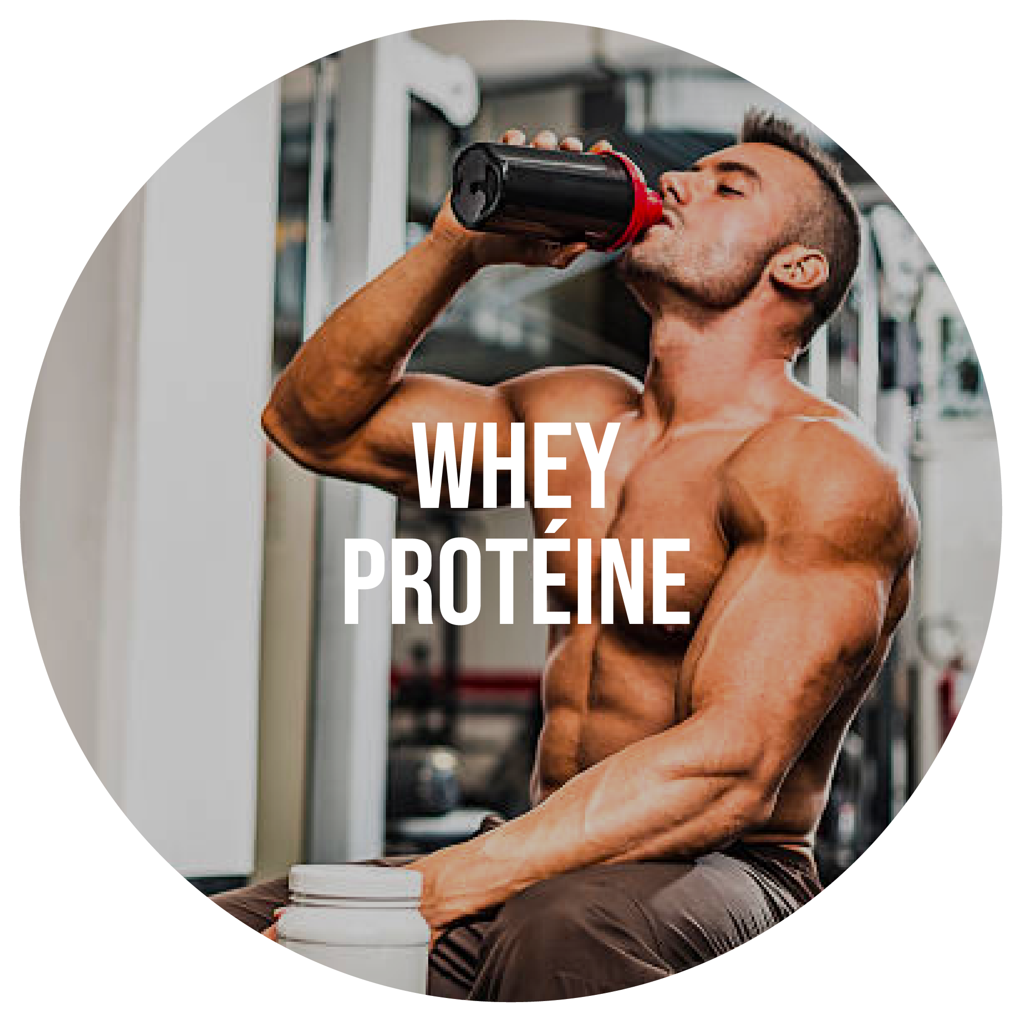 Whey Protéine