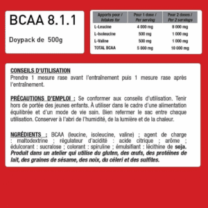 bcaa-amino-acids-eric-favre-sport-nutrition-expert-bcaa-8-1-1-zero-vegan-500gr-maroc-khouribga-bodyshark