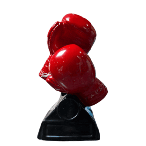trophee-de-boxe-fafa-sport-maroc-khouribga-boodyshark