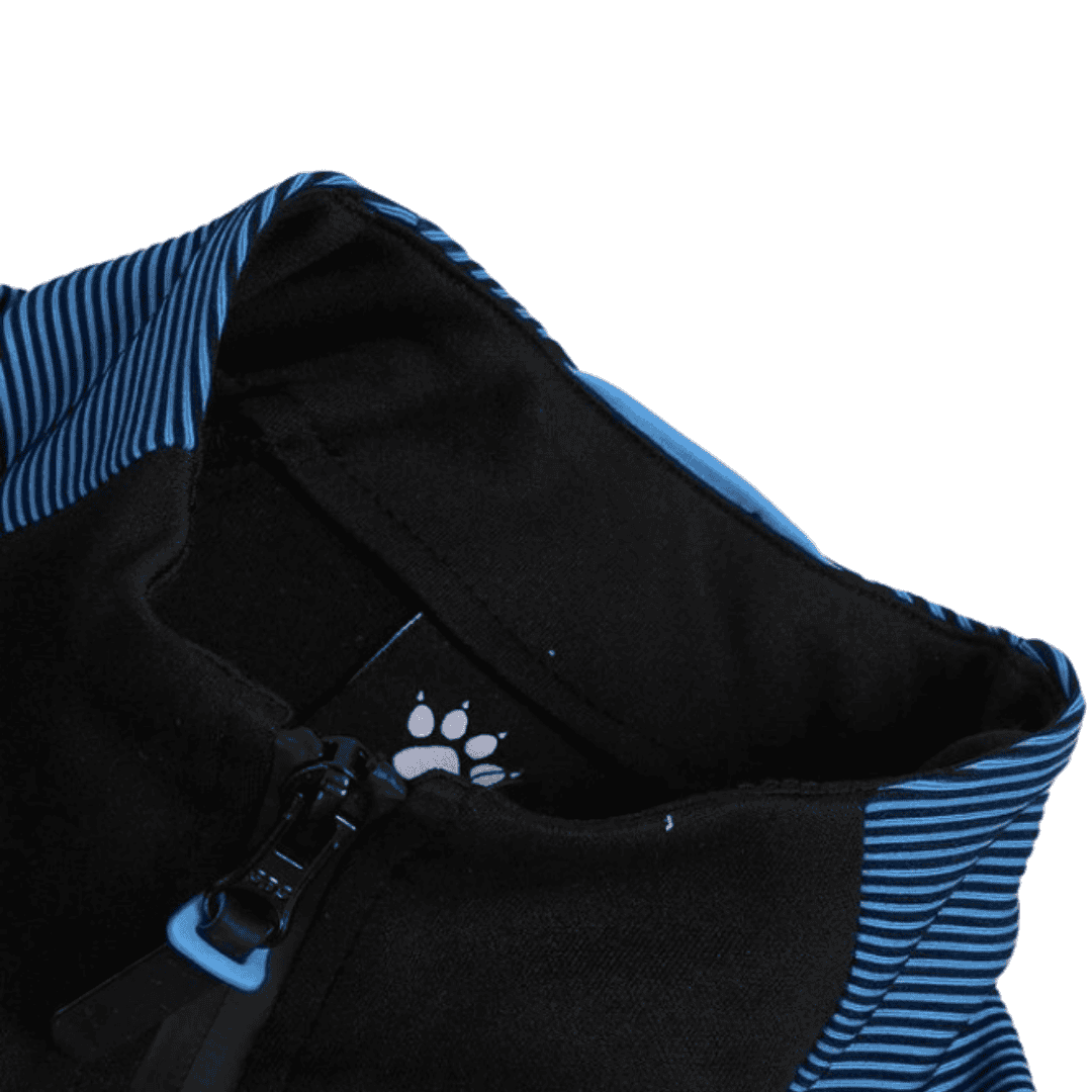 veste-dentrainement-kelmi-maroc-khouribga-bodyshark