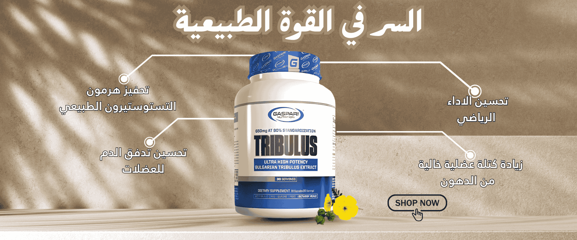 tribulus_bienfaits