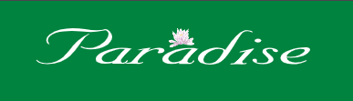 PARADISE logo