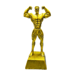 trophee-de-musculation-prestige-maroc-khouribga-bodyshark